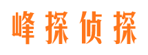 文安找人公司